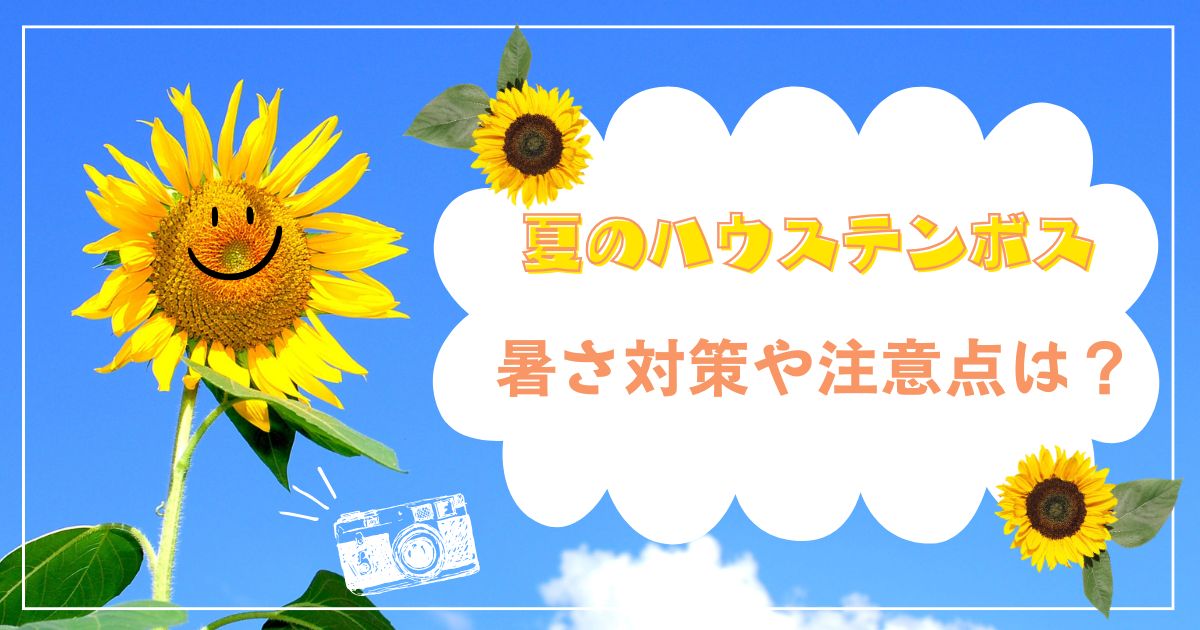 夏のハウステンボス旅行