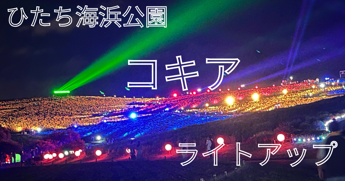 ひたち海浜公園コキアライトアップ