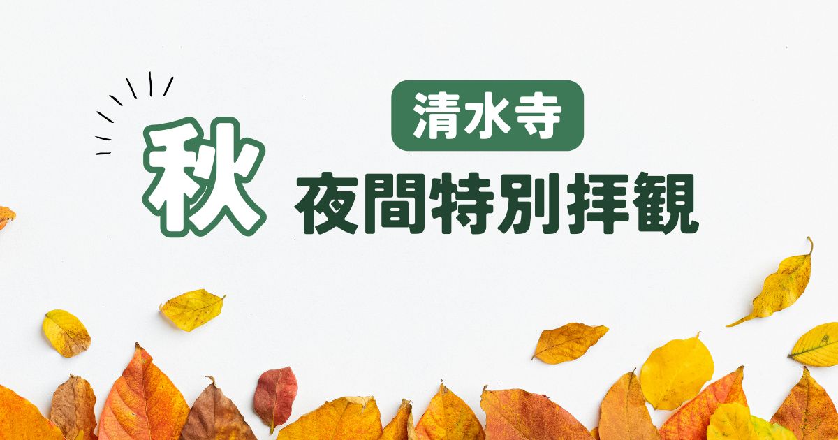 紅葉と夜景に包まれる秋の清水寺を夜間特別拝観で楽しむ！2025